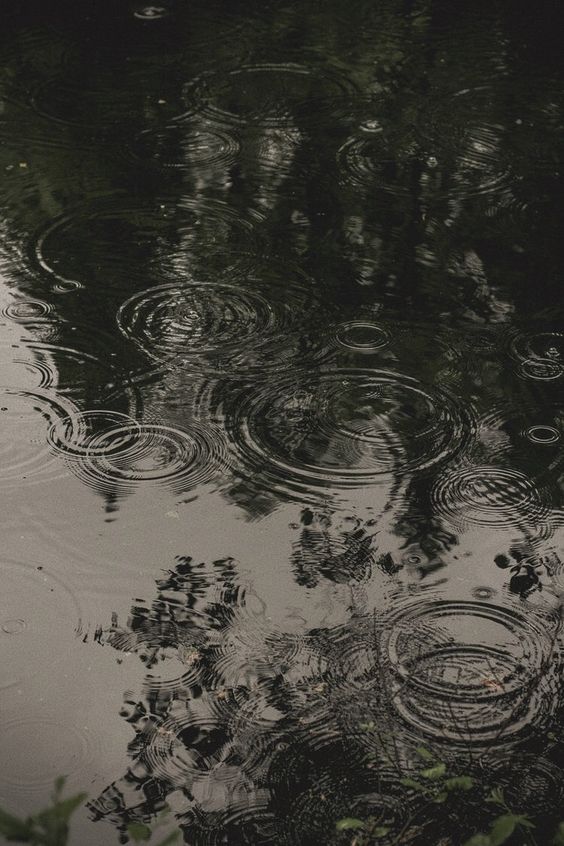 Raindrop